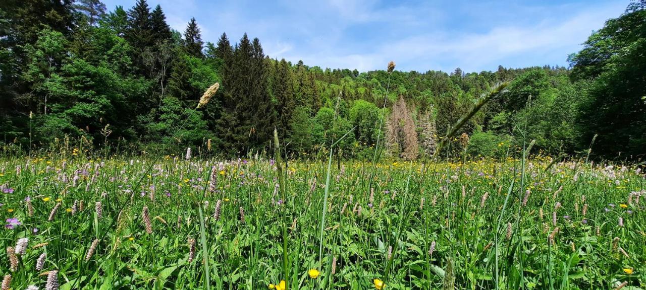 Ferienwohnung Seelust Schluchsee Extérieur photo